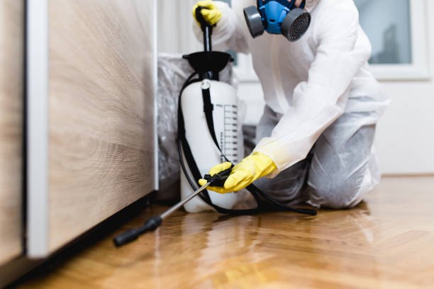 Best Pest Removal Services  in Pioneer, CA