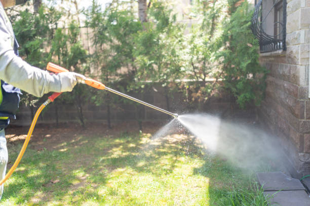 Best Affordable Pest Control Services  in Pioneer, CA