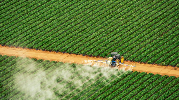 Best Best Pest Control Companies  in Pioneer, CA