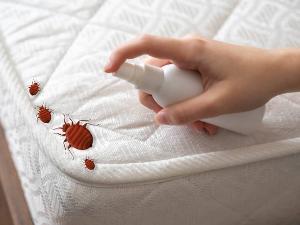 Best Emergency Pest Control  in Pioneer, CA