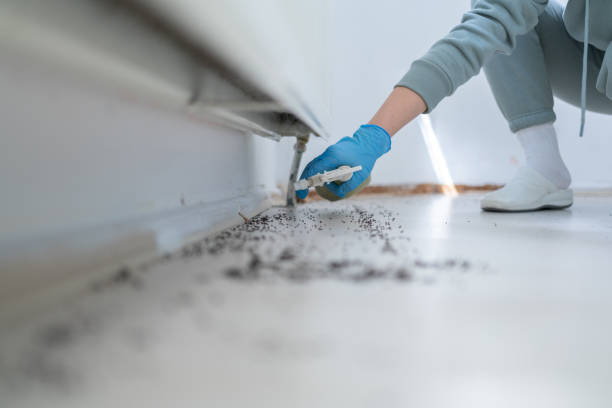Best Mosquito Control Services  in Pioneer, CA